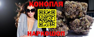 сатива Нарткала